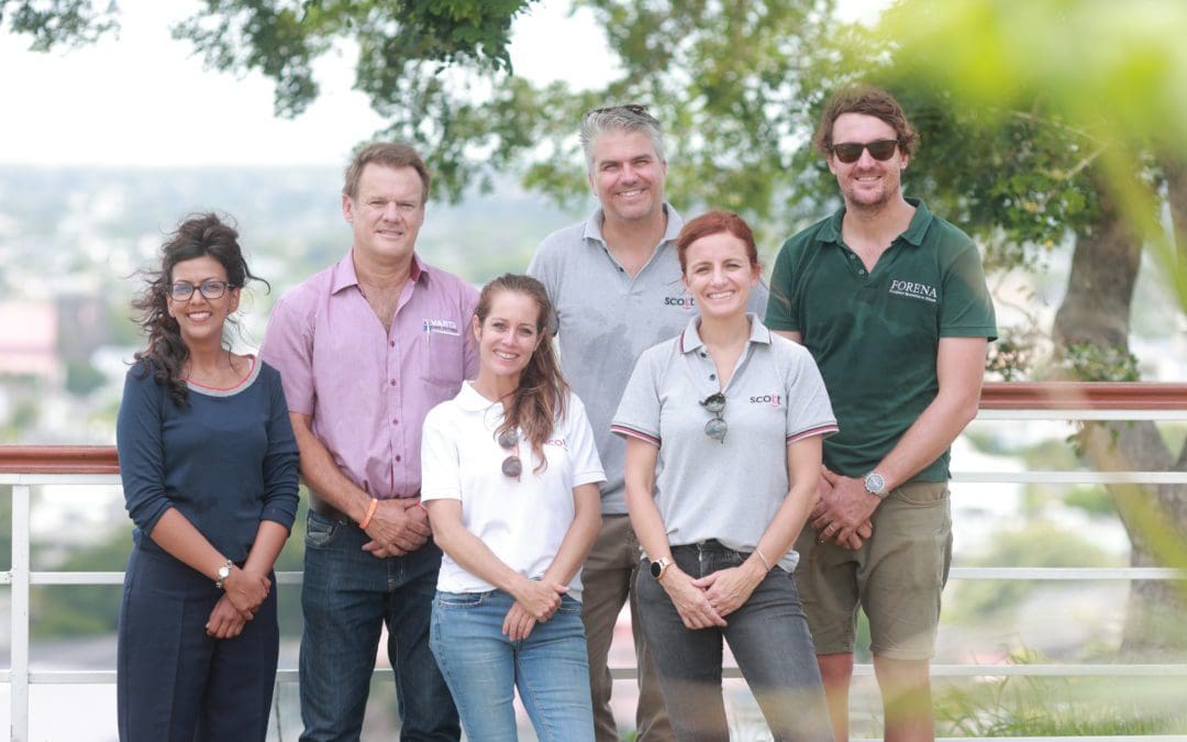 VARTA RECYCLING PROGRAM: Celebrating International Day of Forests